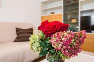 Apartman Kris - Zagreb - 5