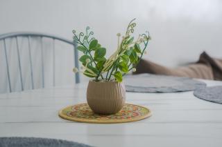 Updated & Cozy Stay - 4