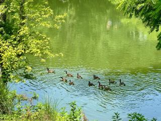 Almost Heaven At The River - 4