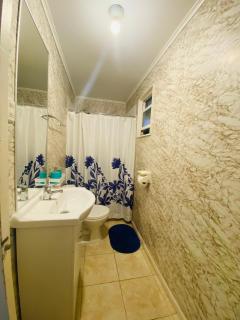 Arriendo casa por día villarrica - 1