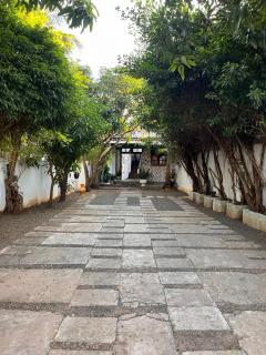 Yala Safari Grand - 4