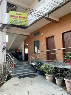 Lily Guest House - 0