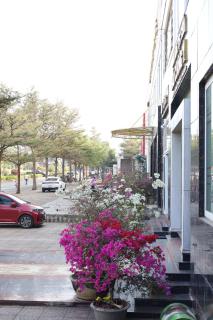 Bảo Cường Hotel - 7