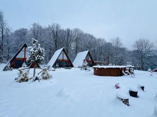 A-frame Marisa Vadu Crisului - 7