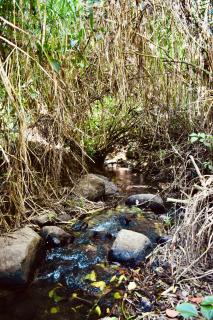 Cabaña Colibrí - Parking - 1