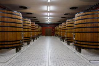 Camping de Olite - Olite - 2