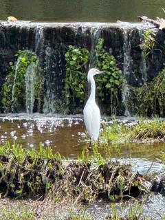 Complejo Costario - 6