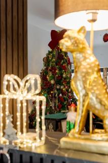 Hotel Boutique Tunari - 7