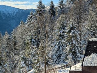 Alemiło mini - domek z balią i widokiem na Babią Górę - 6