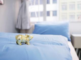 Student Accommodation - 210-214 Hennessy Road - 1