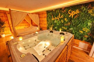 JUNGLE SPA-4 Pers-Jacuzzi-Parking-Jardin-Clim-Colmar - 3