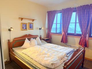 Central Apartment With Garage, Views, Ski In And Out - 3