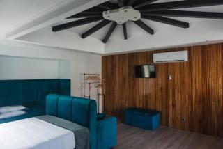 Os Ninhos dos Avôs - 2