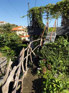 Casa Vintage Seixal Madeira - 7