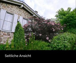 Erfurt Haus Paradies - 8