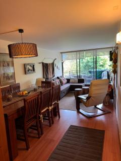 Muy bonito departamento en la mejor ubicación de Pucon - 3