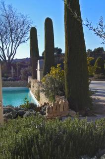 Cyprès du Paradis à Gordes - Gordes - 2