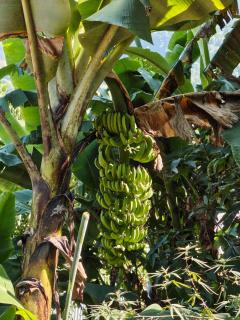 Nuwakot Hills Farmstay - 3