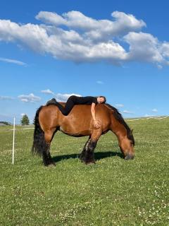 Ferienhaus Schilz II - Urlaub auf dem Bauernhof - 7