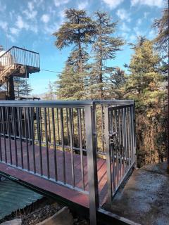 Him Aaranya Home stay Shimla - 8