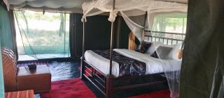 Zuhumath Tented Camps Serengeti - 8
