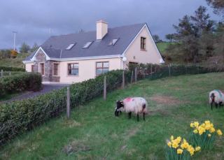 Wooly Lodge - 0