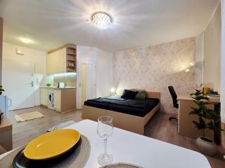 Cozy and Modern Studio - Free Parking - 3