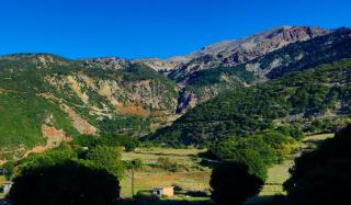 Sunshine Home - Peaceful Garden Escape & Parking - 2