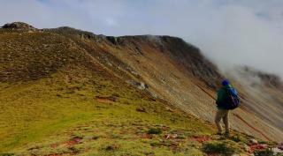 Sunshine Home - Peaceful Garden Escape & Parking - 9