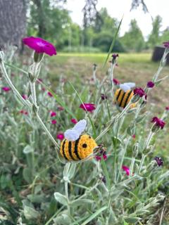 Lavanda House Grand Gite Piscine - 2