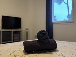 Villa à Calvisson, Piscine chauffée - 1