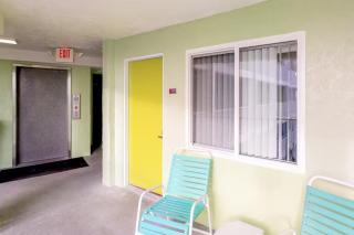 Clearwater Beach Pelican 2 - 9