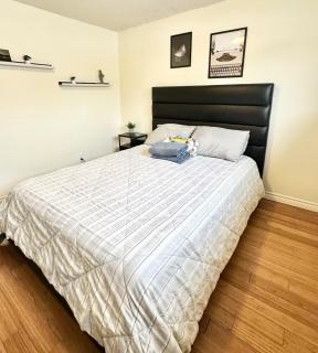 Cozy & Private Full Floor at Minnow Lake - 9