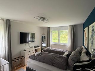 Piz Alpina die grosse, moderne Wohnung mit Bergsicht - 4