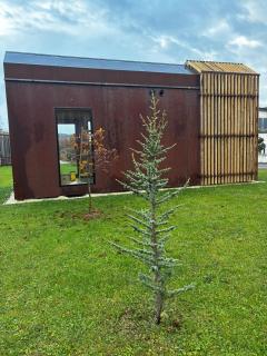 Rusty Cabin -Tiny House - 9