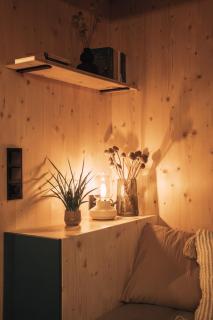 Rusty Cabin -Tiny House - 3