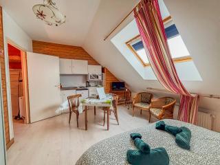 Charmante studette au calme avec terrasse et parking - 5