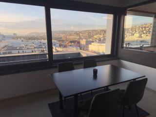 Luxury apartment in Zurich - 2
