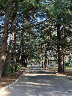 mtatsminda residence - 9