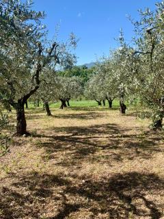 Residenza Marrone - 4