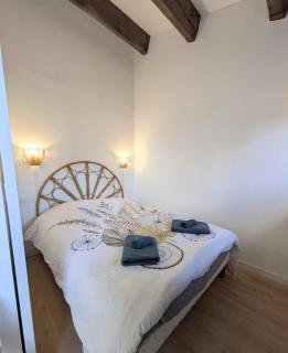Maisonnette bord de Lagune et Plage St Cyprien - 7