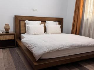 Affordable Classic Furnished Studio For Rent - 1