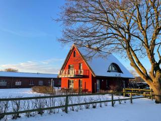 Ferienhaus Hofblick Gut Gustrowerhöfen - 5