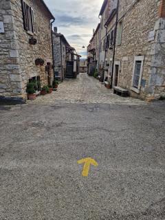 Piccola Sorpresa Il preferito degli escursionisti sul Cammino - 3