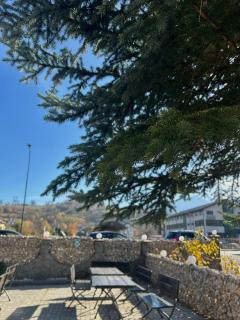 Hotel Draculaa Bran - 8