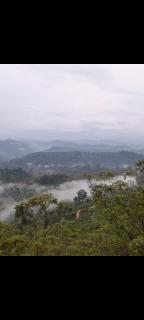 Ohiya forest rim - 3