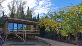 Bungalows y Glamping Medina Sidonia - 3
