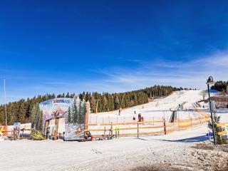 Apartment Simonhöhe-3 by Interhome - 7