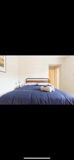 Casa Bugambilia near Miami Airport - 9