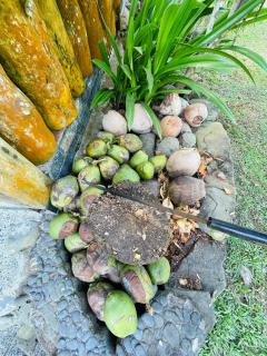 Open spacious house with stunning Peninsula view - 9